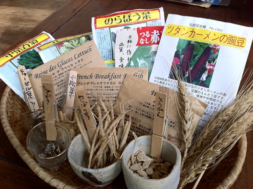 固定種の種